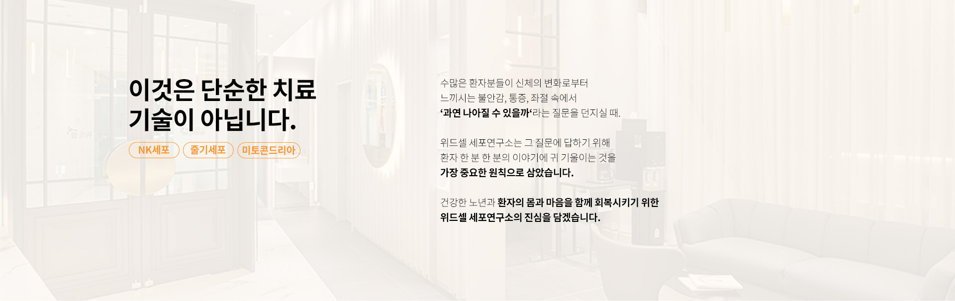 위드셀세포연구소, NK세포치료, NK세포암치료