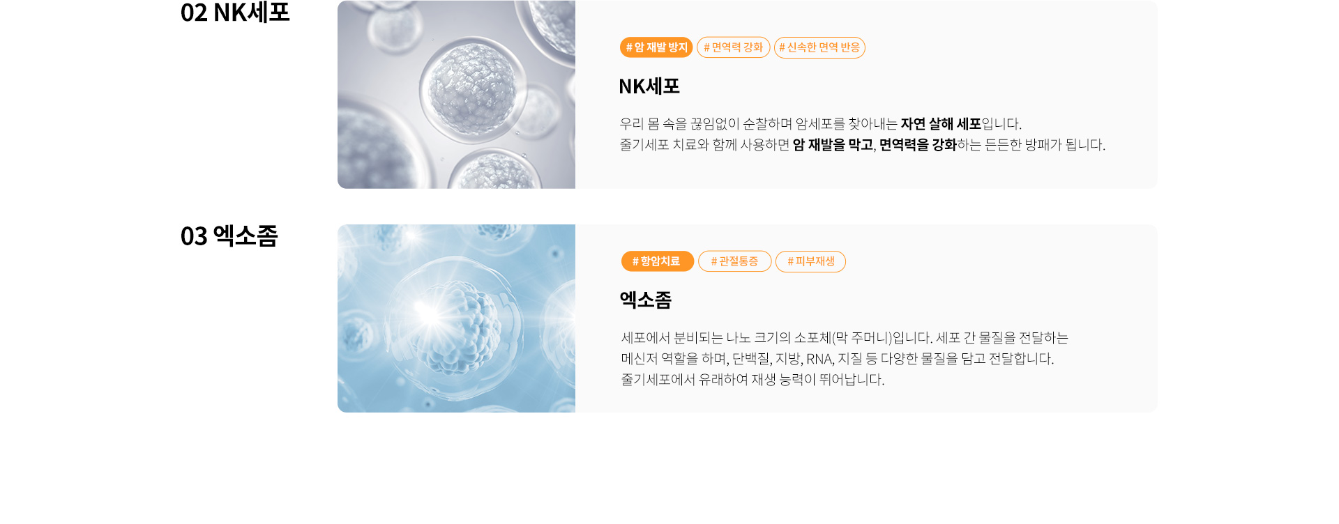 NK세포치료, 엑소좀치료, 세포치료종류