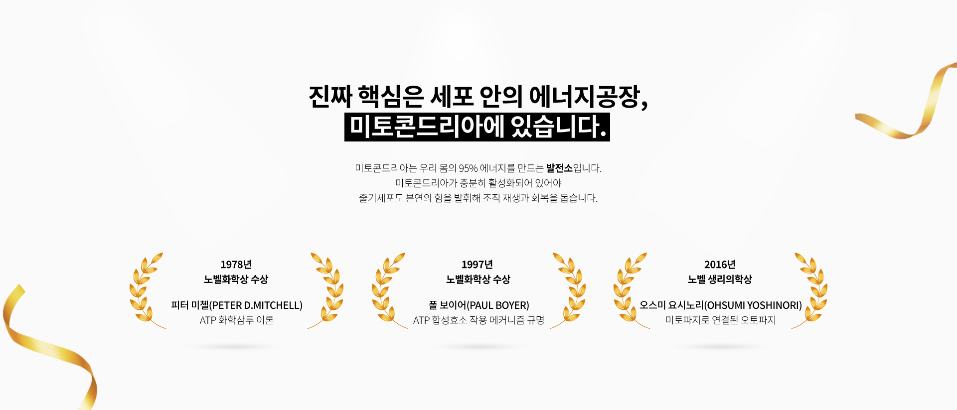 미토콘드리아활성화