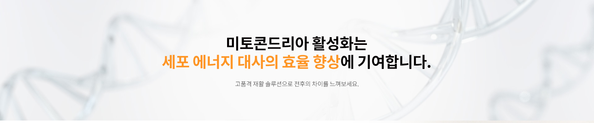 암재발방지, 암재발치료, 줄기세포치료, NK세포치료