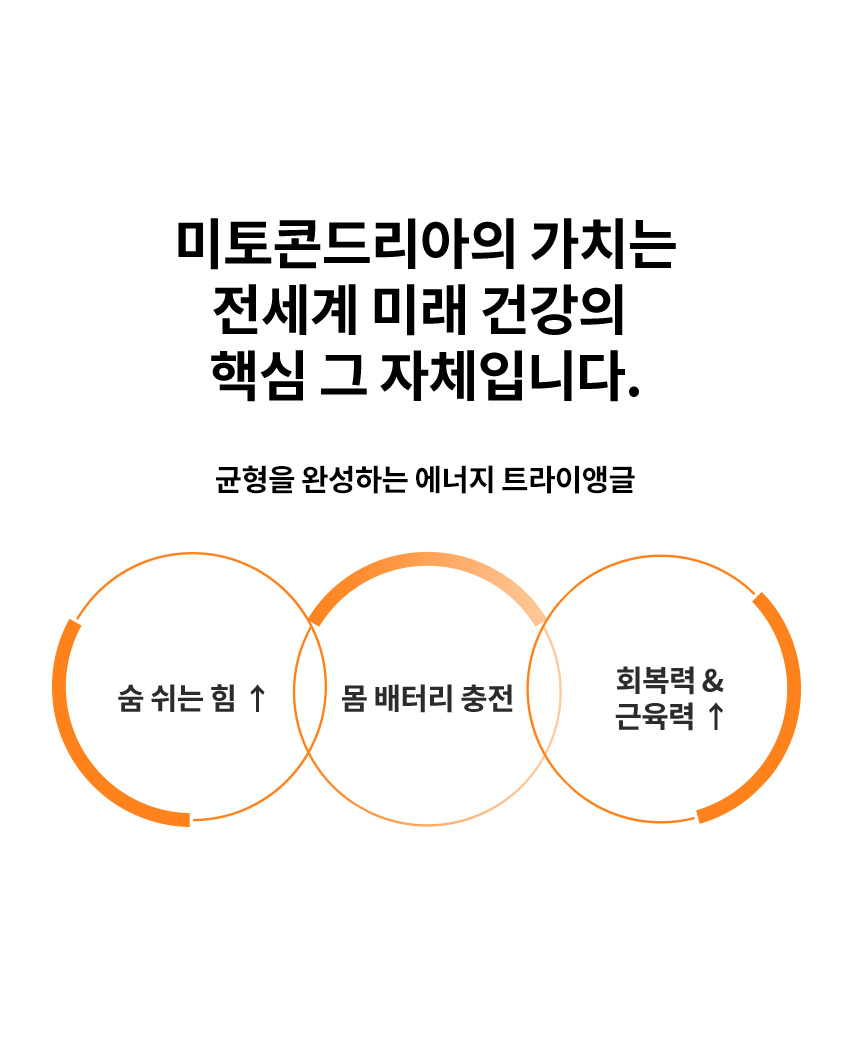 미토콘드리아활성화